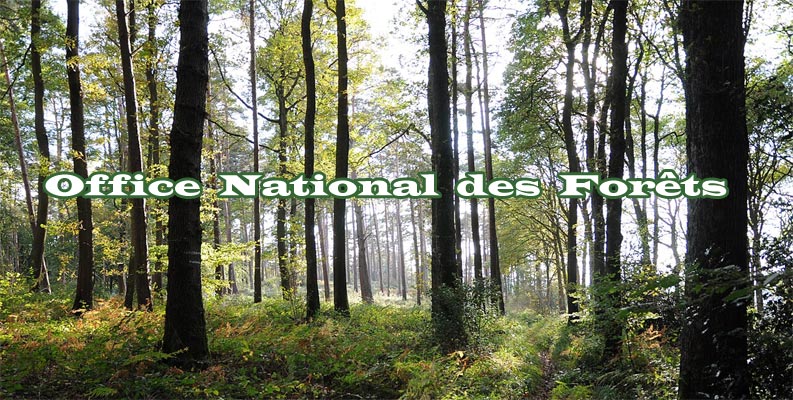 ONF office Nationale des Forêts